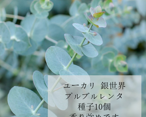 91fbadf99f636939996518d0a8c7d1