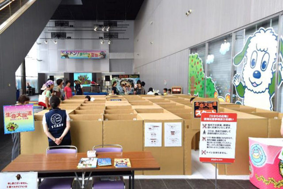 宝探しダンボール迷路 6mx3 25P 50P 100P