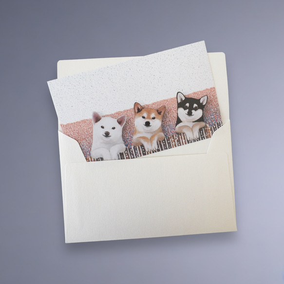 メッセージカード封筒セット（柴犬） 4枚目の画像