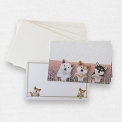 メッセージカード封筒セット（柴犬） 5枚目の画像