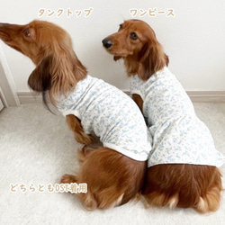 【NEW】タンクトップ ミモザ柄  【ブルー】  犬服 ドッグウェア 春夏 8枚目の画像