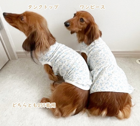 【NEW】タンクトップ ミモザ柄  【ブルー】  犬服 ドッグウェア 春夏 8枚目の画像