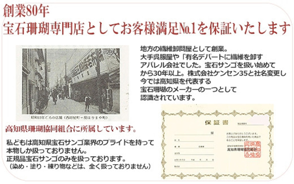 高知県産血赤珊瑚のミニブレスレット 4枚目の画像