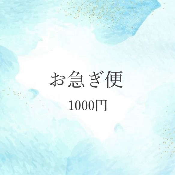 【お急ぎ便】1000円 1枚目の画像