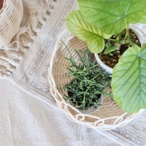 ラタン製 球形プランター ※植物もご希望の方はメッセージ