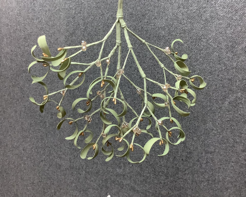 28922f584e8ddbf7a9538670e49e81