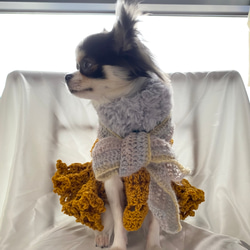 新作✴︎セール 犬服 ふわふわパニエスカートワンピース 5枚目の画像