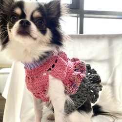 新作✴︎セール 犬服 セットアップピンクフリフリトップス+グレーフリルスカート 1枚目の画像