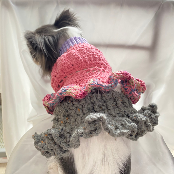 新作✴︎セール 犬服 セットアップピンクフリフリトップス+グレーフリルスカート 4枚目の画像
