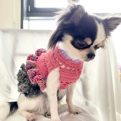 新作✴︎セール 犬服 セットアップピンクフリフリトップス+グレーフリルスカート 2枚目の画像