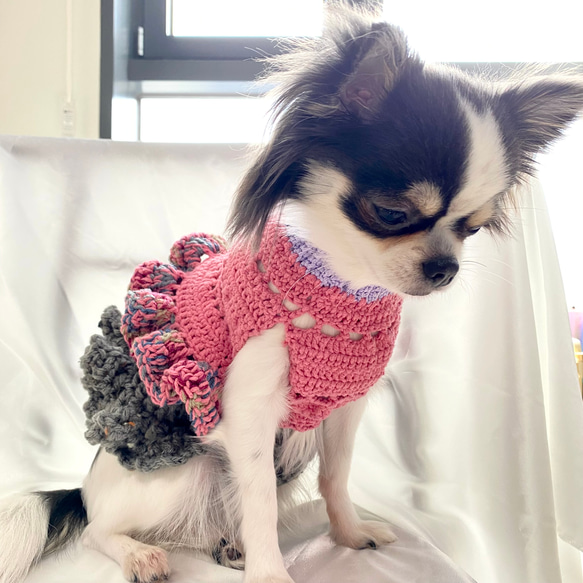 新作✴︎セール 犬服 セットアップピンクフリフリトップス+グレーフリルスカート 2枚目の画像
