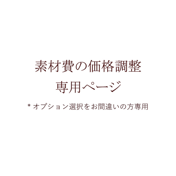 価格調整専用ページ 1枚目の画像