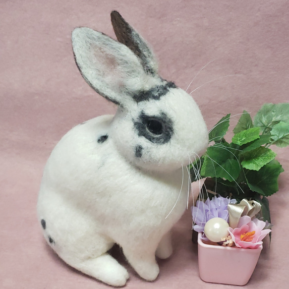 羊毛フェルト オーダー 「リアルで可愛いウサギちゃん」ぬいぐるみ うさぎ うちの子 800円 送料込み