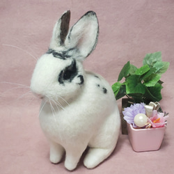 羊毛フェルト オーダー 「リアルで可愛いワンちゃん」ゴールデン