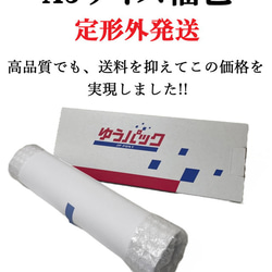 10781■アートポスター　絵画　A3サイズ『ヘンドリック・ウィレム・ヴァン・ルーン』イラスト　デザイン 2枚目の画像