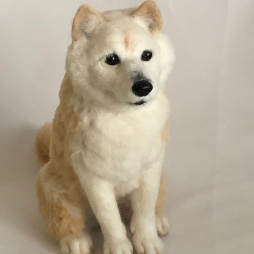 咲く花あきちゃんページ❣️キャバリアオーダー犬羊毛フェルト 羊毛フェルト虹の橋 天使の羽を付けたワンちゃん オーダーメイド