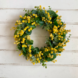数量限定 ミモザのリース ドライフラワー（直径26cm/2月下旬からお届け