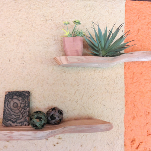 ❀再販❀なみなみ自然木のディスプレイ ラック ～ポストカード・写真