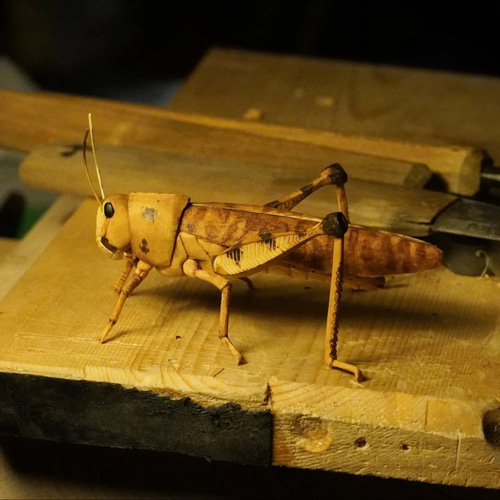 トノサマバッタ 木彫作品 木彫り 寄木造り 昆虫 バッタ 彫刻 森 和輝