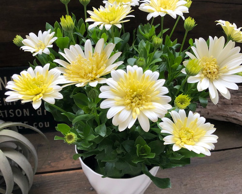 28d37de946cbf6a3badd4c227ea1e2