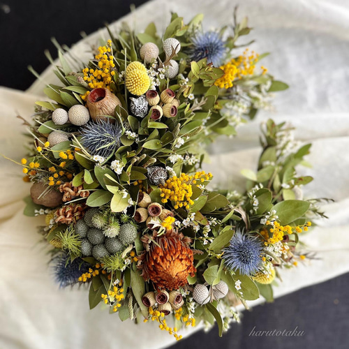 ミモザ・ユーカリ・エリンジューム ・スターチス…たっぷりのドライ  