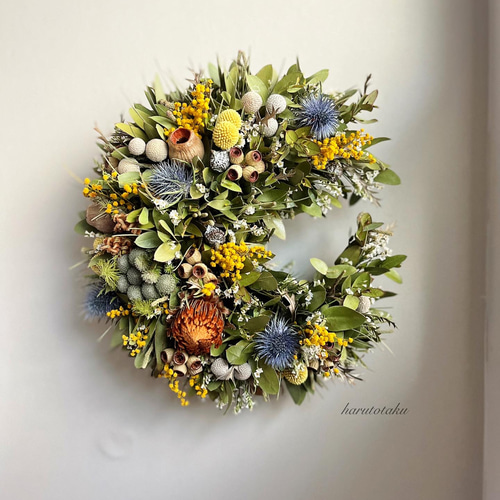 ミモザ・ユーカリ・エリンジューム ・スターチス…たっぷりのドライ  