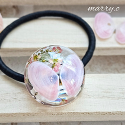 桜貝のあめ玉ヘアゴム☆大ぶり☆marry.c's handmadeaccessory 1枚目の画像