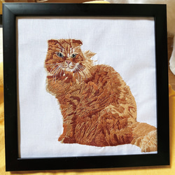 中国　猫　子猫　刺繍絵画　刺繍絵　刺繍画　掛け額　額入り　額縁 cxy190_02.jpg