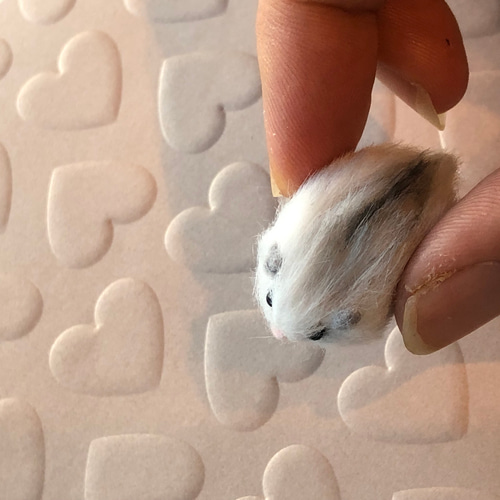 パールホワイトちゃん🐹☺️💕⁡ ⁡ ⁡ #ハムスター #ハムスター