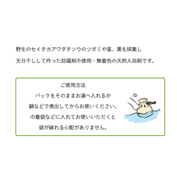 （無農薬）野生のセイタカアワダチソウ入浴剤 6枚目の画像