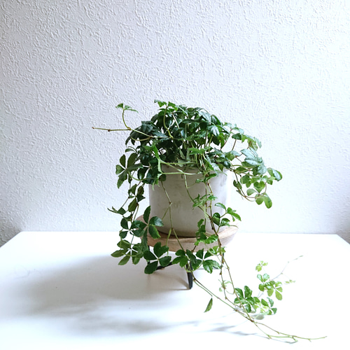 ○数量限定○ 花台 木製無垢 ”天然木アイアンスタンド” 観葉植物