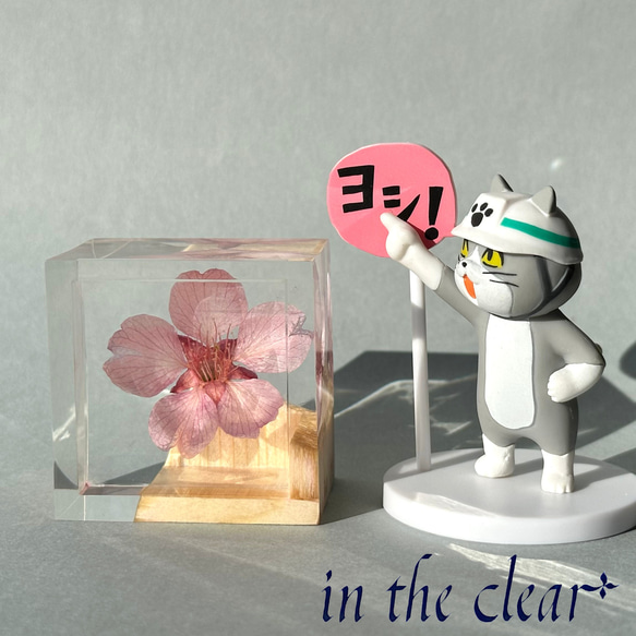 植物標本　桜酒　桜と枡　ウッドレジン 13枚目の画像