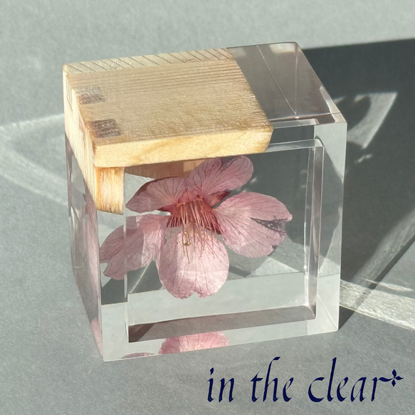 植物標本　桜酒　桜と枡　ウッドレジン 9枚目の画像