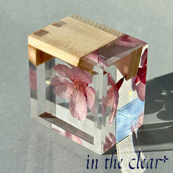 植物標本　桜酒　桜と枡　ウッドレジン 7枚目の画像