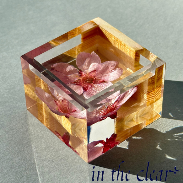 植物標本　桜酒　桜と枡　ウッドレジン 3枚目の画像