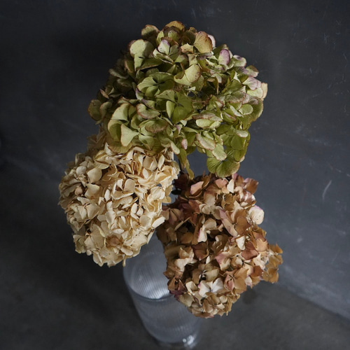 ドライフラワー紫陽花（あじさい）3本セット ドライフラワー