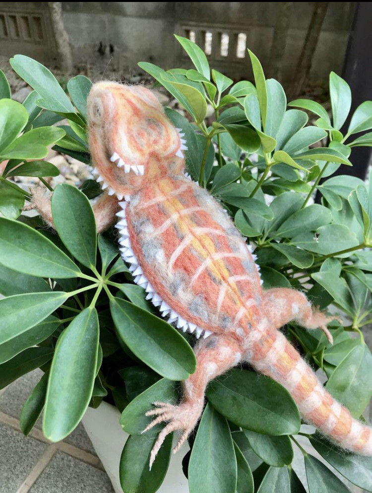 フトアゴヒゲトカゲorange