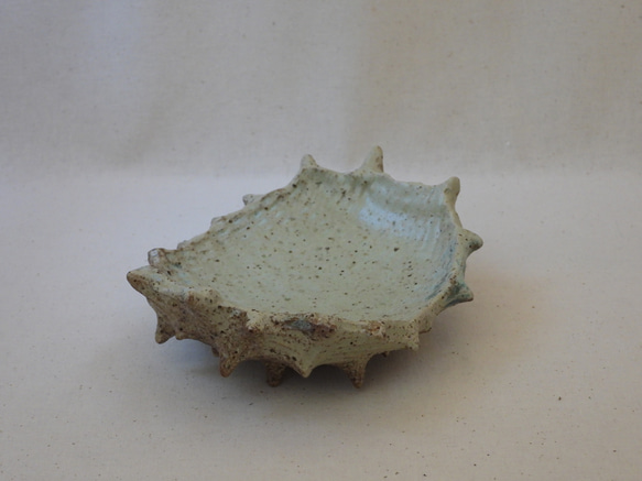 棘棘陶製皿(3) 2枚目の画像