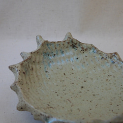 棘棘陶製皿(3) 6枚目の画像