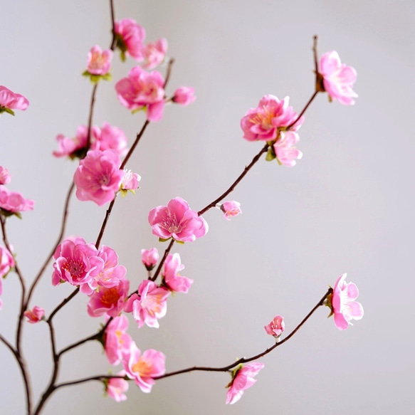 （水換え不要）桃の花切り枝花瓶挿し　桃の節句 2枚目の画像