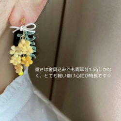 【mimosa】ふんわり刺繍糸のお花 ミモザのスワッグピアス/イヤリング　母の日 8枚目の画像