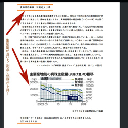 アコヤ本真珠ネックレス 4.0-6.5mm ベビーパール弱グラデーションネックレス 42cmキズエクボ無し国内養殖506 7枚目の画像