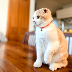 コットン・さくらの首輪 4枚目の画像