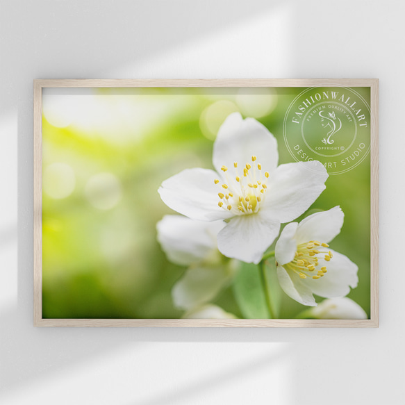 アートポスター 白い花 フラワーアート 花の写真 ボタニカルアート