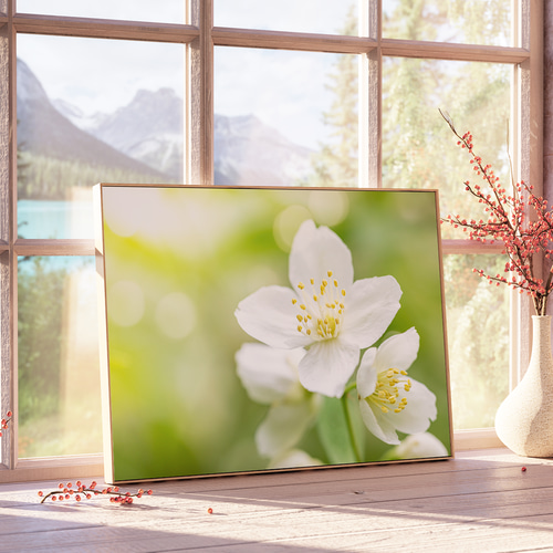 アートポスター 白い花 フラワーアート 花の写真 ボタニカルアート