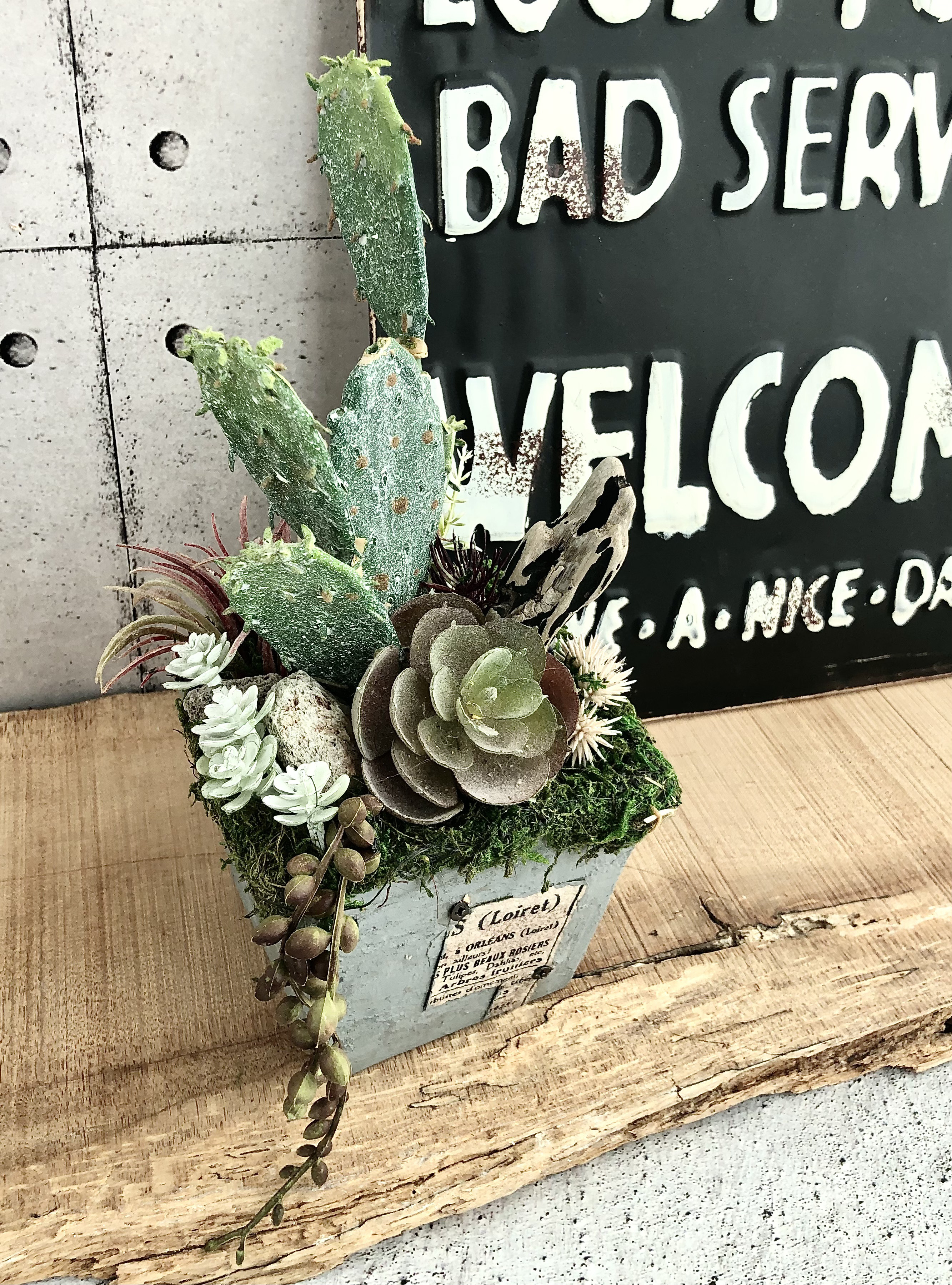 Creema限定/男前/流木付きコンクリートインテリア/サボテン&多肉植物/公触媒加工/1点限り