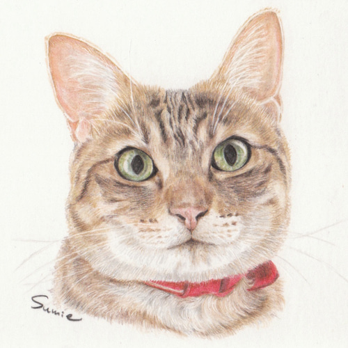 オーダーの品 猫の肖像画