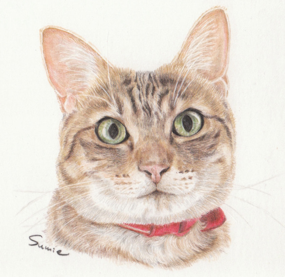 猫のミニ肖像画(オーダーメイド) 3枚目の画像