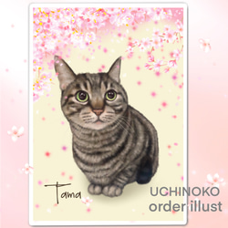 ペット似顔絵　桜の下で…  犬　猫　オーダーメイド　イラスト　UCHINOKO 2枚目の画像