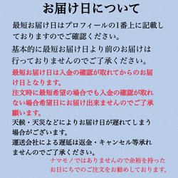 【ギフトクッキー詰め合わせ】韓国風スモアクッキー/アイシングクッキーの入ったクッキーボックスＬサイズ 8枚目の画像